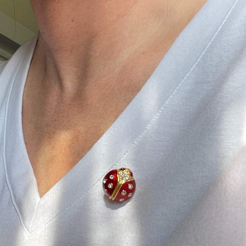 Ladybug Pin - Picture 3 of 7